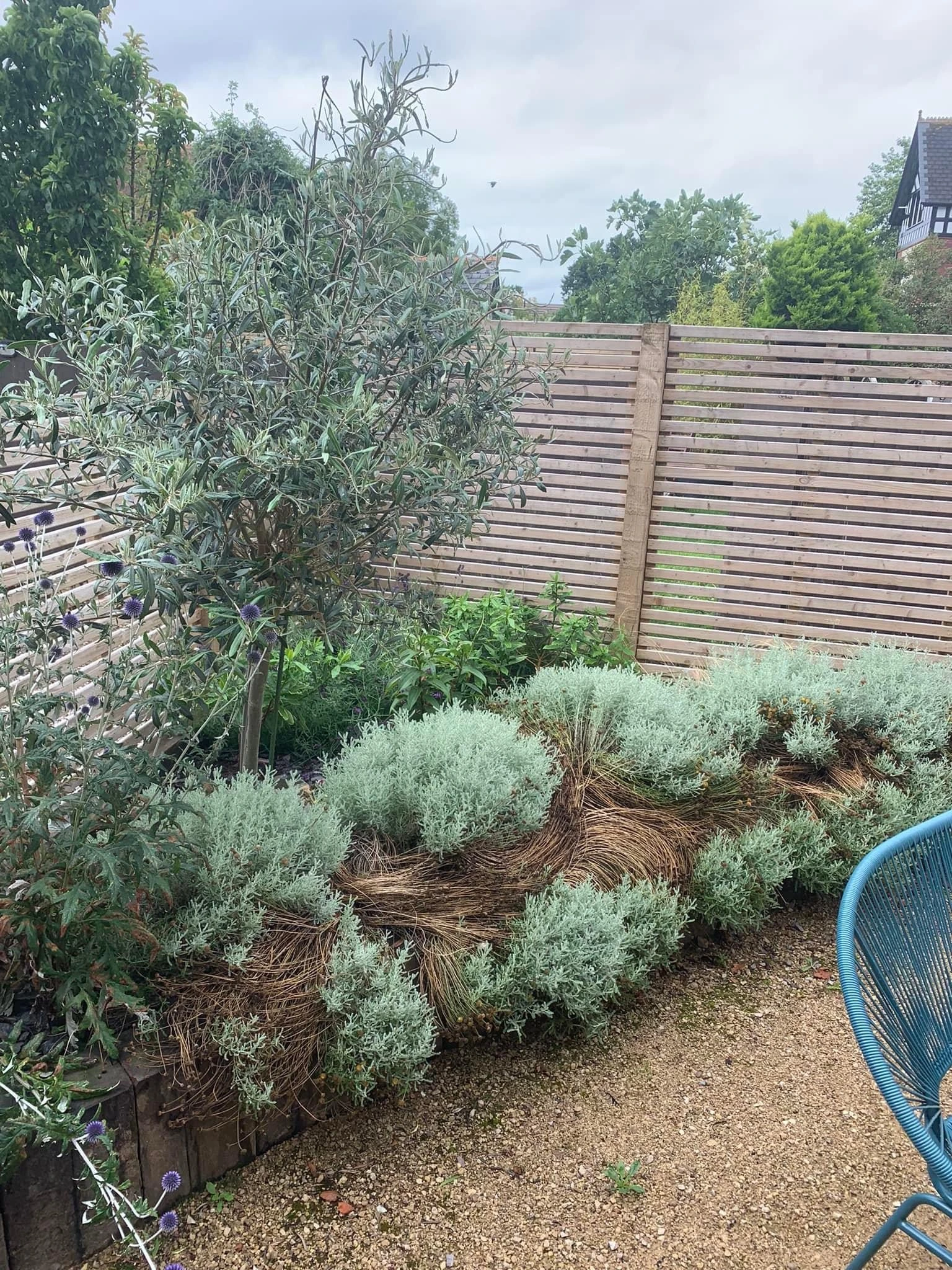 Flower Bed Pruning & Garden Tidy-Up