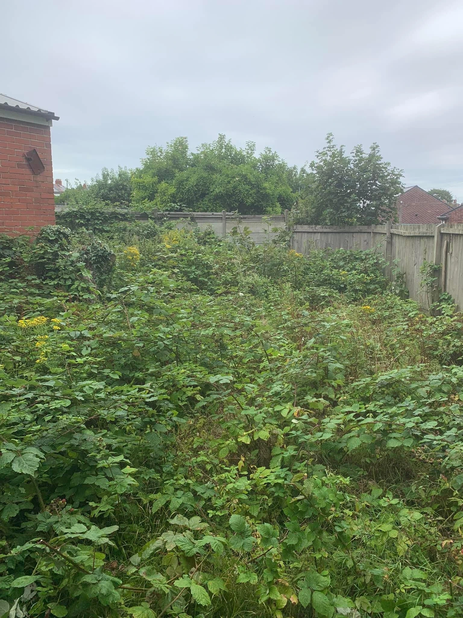 Before - Garden Clearance & Restoration